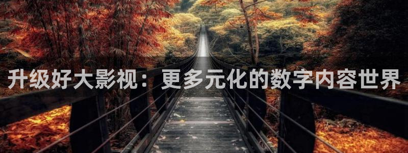 神马电影网午夜dy888：升级好大影视：更多元化的数字内容世界