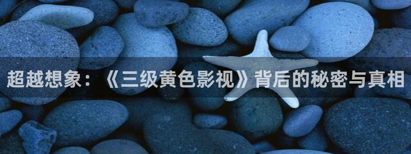日韩午夜在线观看完整版