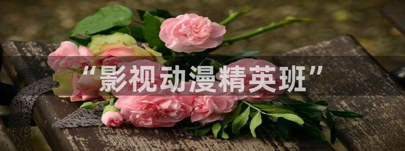 成年私人午夜影视免费：“影视动漫精英班”