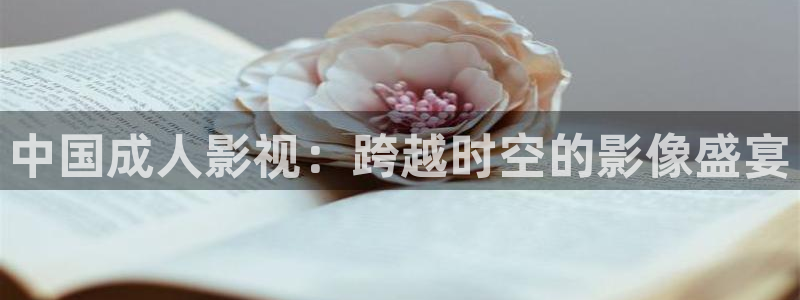 欧美午夜影院8：中国成人影视：跨越时空的影像盛宴