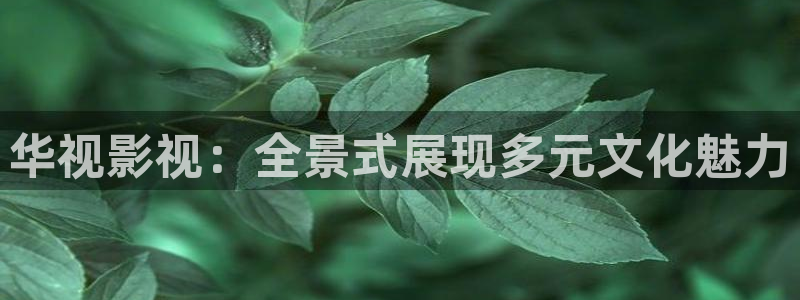 秋霞理论午夜片：华视影视：全景式展现多元文化魅力