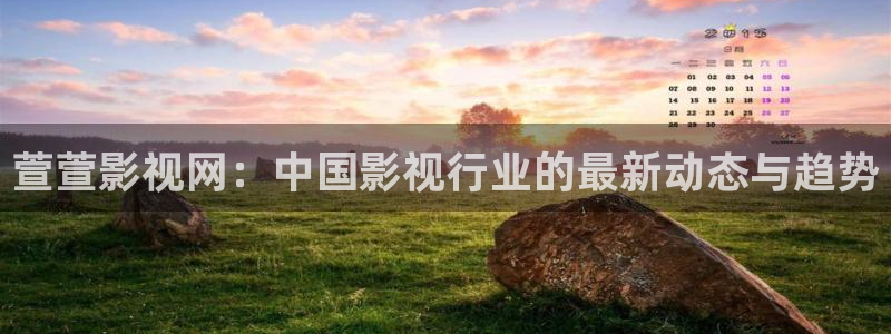 飘花午夜电影网：萱萱影视网：中国影视行业的最新动态与趋势