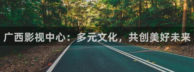 午夜国产精品影院：广西影视中心：多元文化，共创美好未来