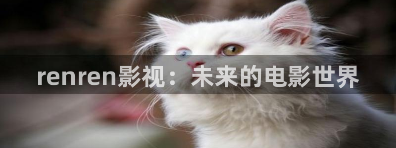 午夜午夜片：renren影视：未来的电影世界