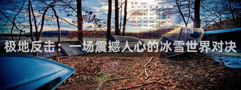 午夜影院在线免费播放：极地反击：一场震撼人心的冰雪世界对决