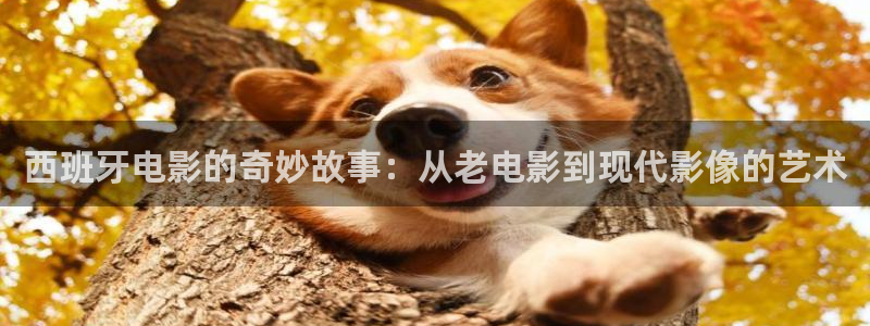免费午夜小视频观看：西班牙电影的奇妙故事：从老电影到现代影像的艺术
