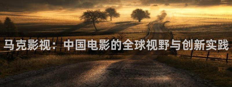 光棍午夜新影院：马克影视：中国电影的全球视野与创新实践