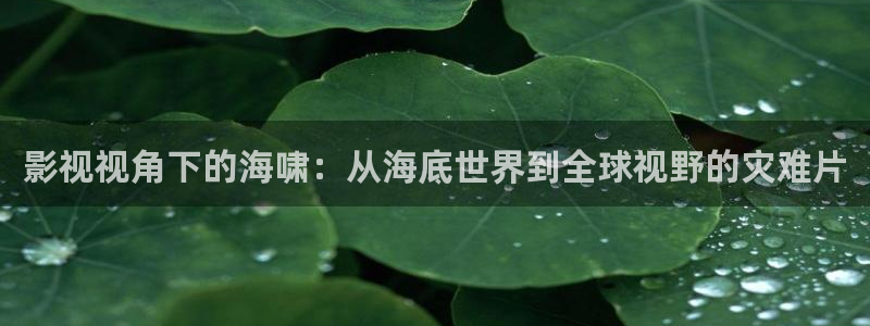 国产午夜片：影视视角下的海啸：从海底世界到全球视野的灾难片