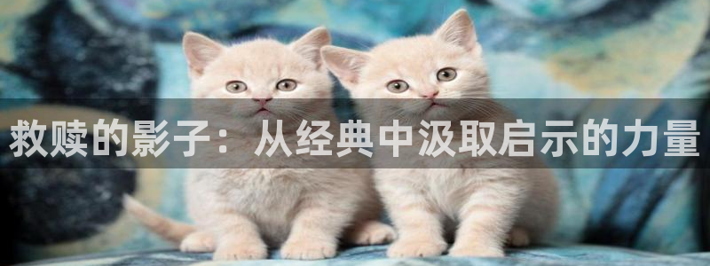 日本午夜在线网站：救赎的影子：从经典中汲取启示的力量