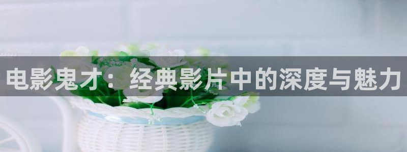 韩国电影午夜剧场：电影鬼才：经典影片中的深度与魅力