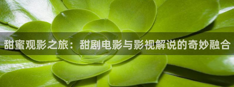 aaa午夜特黄大片：甜蜜观影之旅：甜剧电影与影视解说的奇妙融合