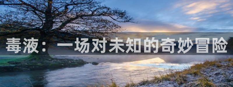 成人午夜免费影院