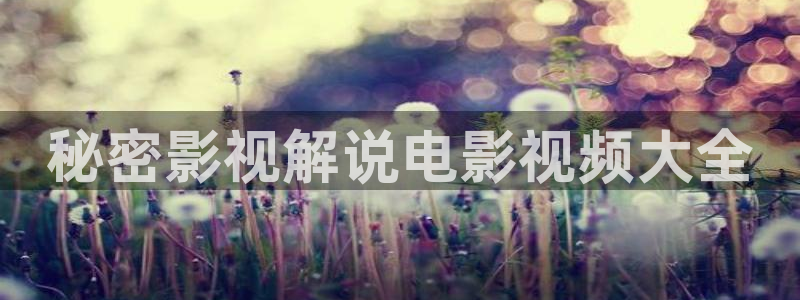 午夜看看片