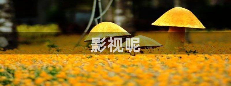 神马午夜免费电影