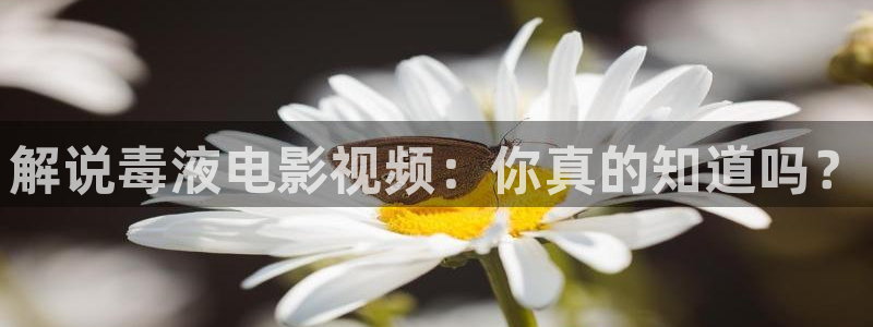 神马不卡午夜电影