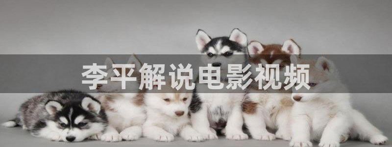 日韩在线午夜