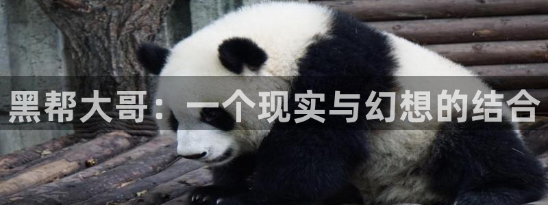大香蕉午夜电影