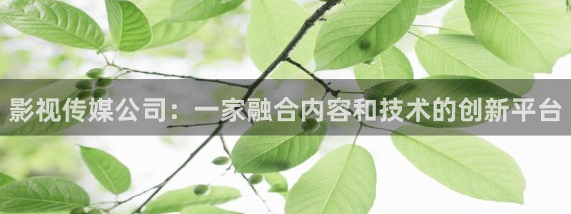 午夜伦理在线视频看看