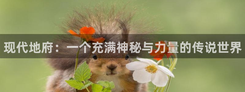 人成午夜免费视频播放