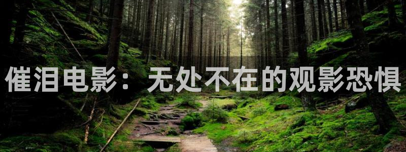 神马午夜久久影院