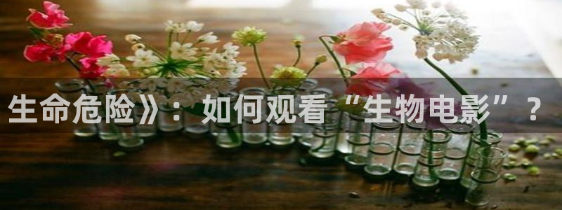 午夜43路电影未删减版