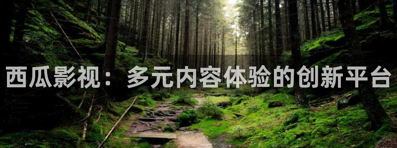 国产午夜高清电影
