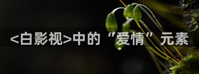 午夜av五月