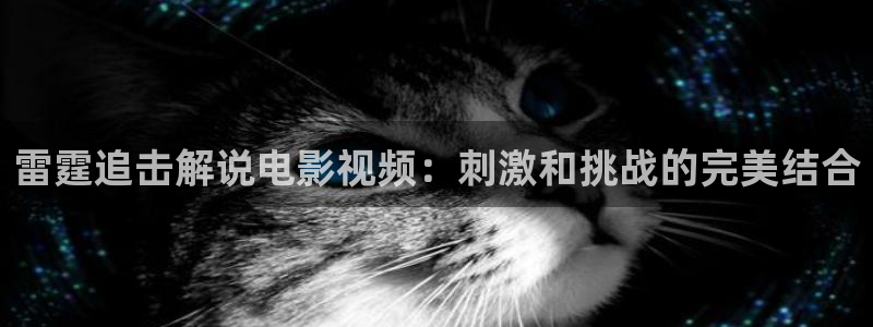 神马午夜影院dy888
