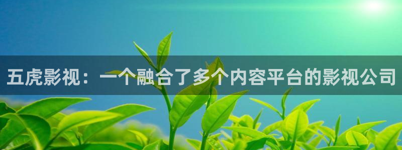 国产亚洲午夜理论在线观看
