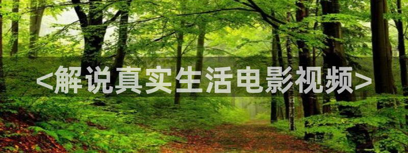 手机在线午夜影院