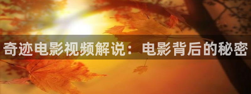 午夜好看片