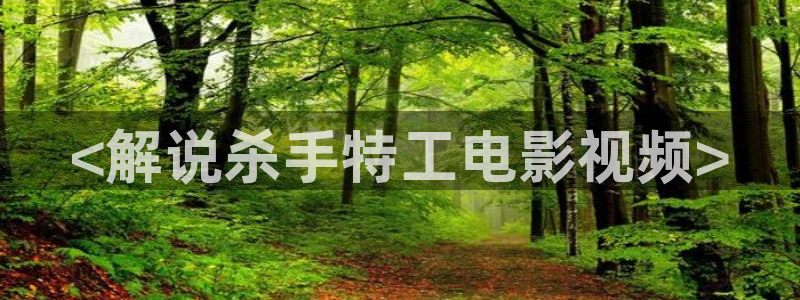 欧美午夜在线免费观看