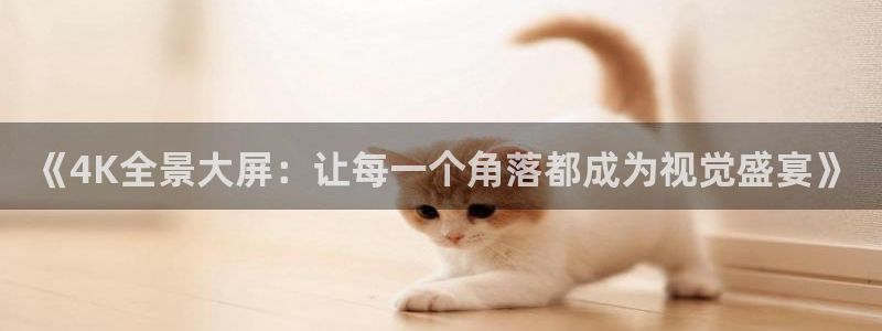 欧美午夜伦伦电影理论片