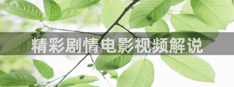 星辰午夜影院