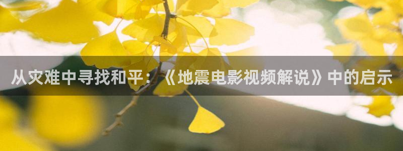 神马伦理午夜电影院