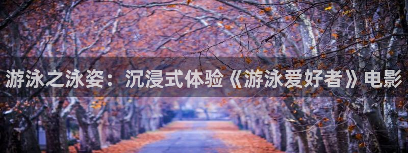 欧美午夜电影在线播放