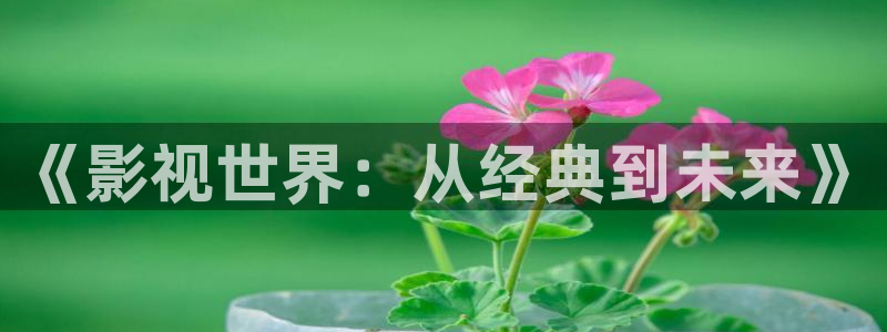 神马午夜理论电影
