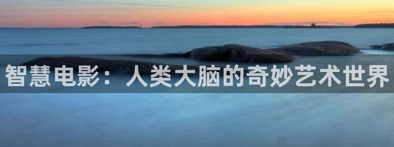 欧美午夜大片免费看