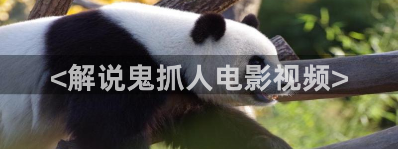 爱在午夜降临前 电影：<解说鬼抓人电影视频>