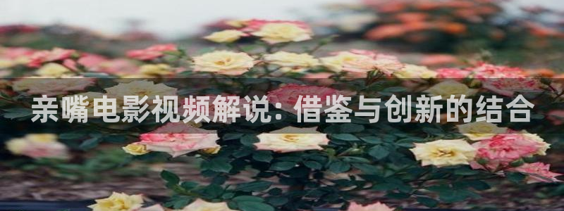 韩国午夜电影院：亲嘴电影视频解说: 借鉴与创新的结合