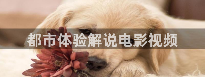 午夜的视频网站：都市体验解说电影视频