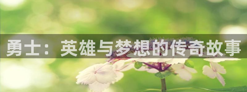亚洲神马午夜片：勇士：英雄与梦想的传奇故事