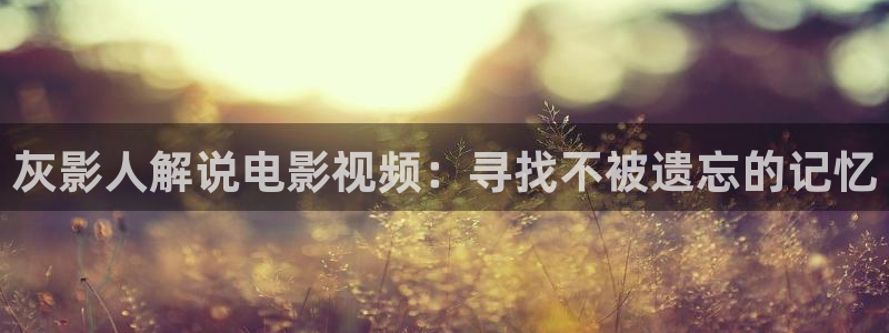 午夜电影一二三区：灰影人解说电影视频：寻找不被遗忘的记忆